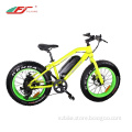 20 inch Mini Fat Tire Ebike